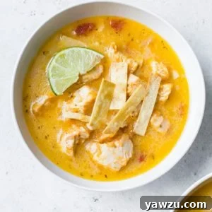 An overhead shot of a bowl of chicken tortilla soup.