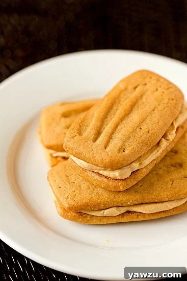 Delicious Homemade Peanut Butter Sandwich Cookies