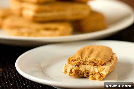 Stack of freshly baked peanut butter sandwich cookies ready to eat