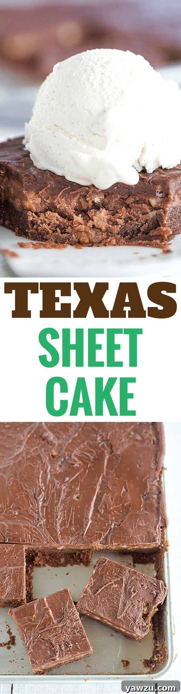 This classic Texas sheet cake boasts a thin, incredibly moist chocolate cake layer, lavishly crowned with a rich, fudge-like frosting studded with crunchy pecans.