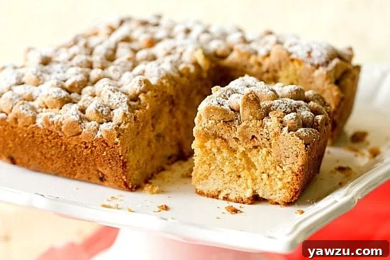 A perfectly baked slice of Rhubarb Crumb Cake, displaying the light cake, vibrant rhubarb, and a thick layer of streusel.