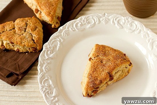 Fluffy Cinnamon-Sugar Scones fresh from the oven, ready to be enjoyed.