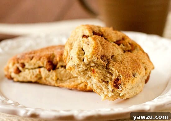 A close-up of a freshly baked Cinnamon-Sugar Scone, showing its tender crumb.