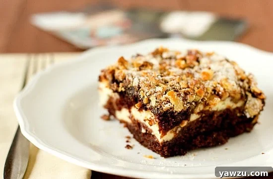 A whole Dad's Favorite Chocolate Birthday Cake, garnished with walnuts and sugar, ready for celebration.