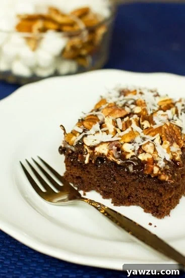 Rich Mississippi Mud Cake slice on a plate