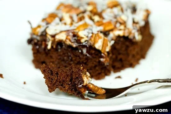 Full view of the baked Mississippi Mud Cake in a pan with a few slices already taken