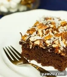 Mississippi Mud Cake