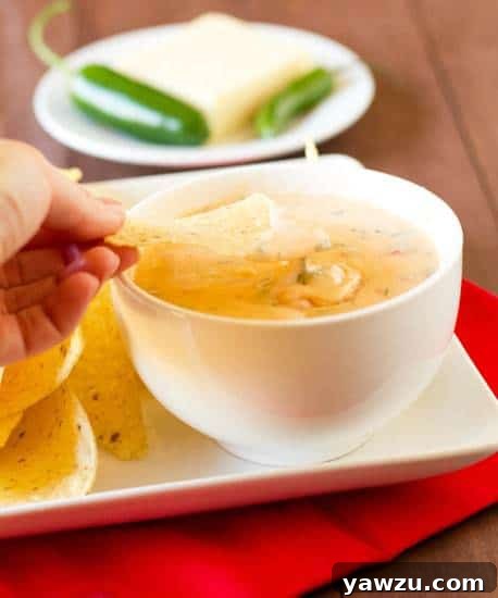 Close-up of creamy Chile con Queso