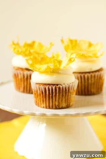Array of Hummingbird Cupcakes on a Tray