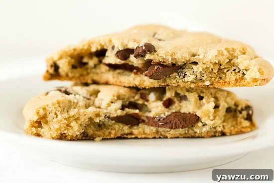 Close-up of baked New York Times Chocolate Chip Cookies on a cooling rack, showcasing their size and melted chocolate
