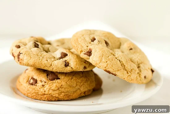 A beautifully baked batch of Alton Brown's 'The Chewy' chocolate chip cookies, golden brown with visible melted chocolate, cooling on a wire rack.