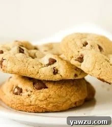 Alton Brown's Chewy Chocolate Chip Cookie thumbnail image