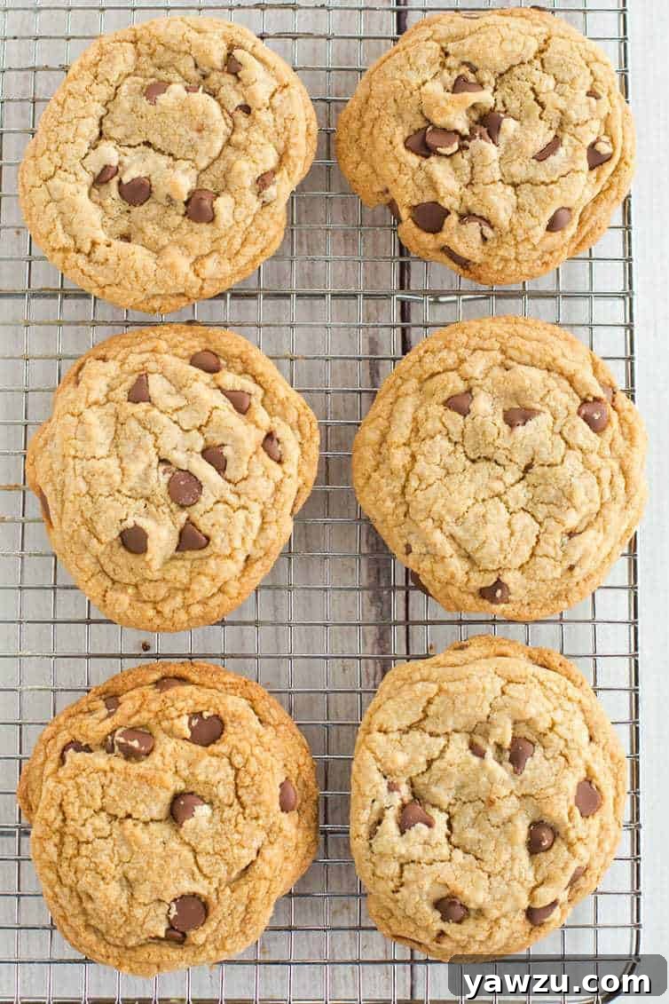 Cook's Illustrated Perfect Chocolate Chip Cookies are large, bakery-style chocolate chip cookies made with browned butter and dark brown sugar for a toffee-like flavor.