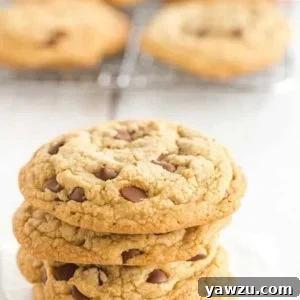 Cook's Illustrated Perfect Chocolate Chip Cookies are large, bakery-style chocolate chip cookies made with browned butter and dark brown sugar for a toffee-like flavor.