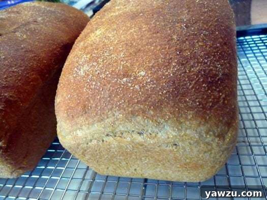 Two golden-brown loaves of Anadama bread, freshly baked and resting on a wire cooling rack to achieve their ideal texture.