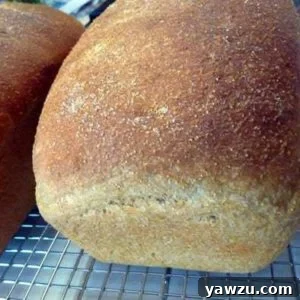 Two beautiful loaves of Anadama bread cooling on a rack after baking, showcasing their golden crust.