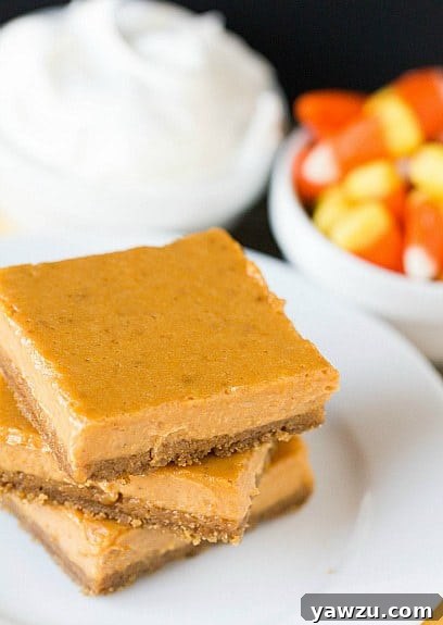 Close-up of a single Maple Pumpkin Cheesecake Bar, revealing the thick, creamy pumpkin and maple cheesecake layer atop a dark, crumbly gingersnap crust, ready to be enjoyed.