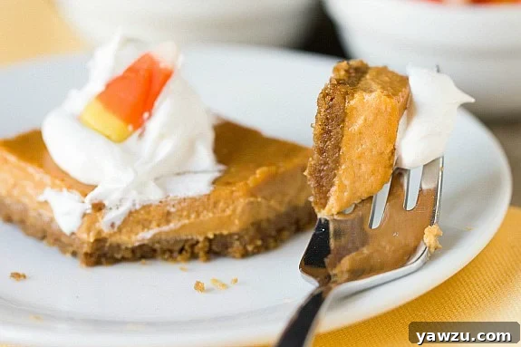 Three beautifully presented Maple Pumpkin Cheesecake Bars on a white plate, garnished with a swirl of whipped cream and a festive candy corn, highlighting their dessert appeal.