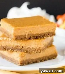 Overhead shot of Maple Pumpkin Cheesecake Bars, showing their perfectly baked golden-brown crust and creamy topping, with some slices already cut.