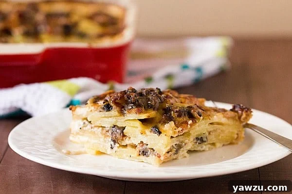 Close-up of baked Bacon and Mushroom Potato Gratin with golden crust