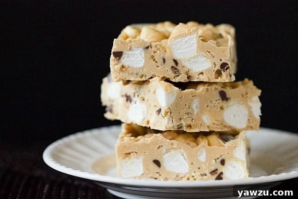 Finished Homemade Avalanche Bark cut into squares