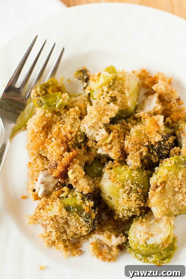 Plated Brussels Sprouts and Bacon Gratin ready to serve