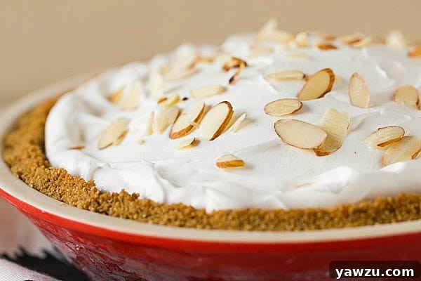A perfectly sliced piece of Cranberry Ice Cream Pie on a plate