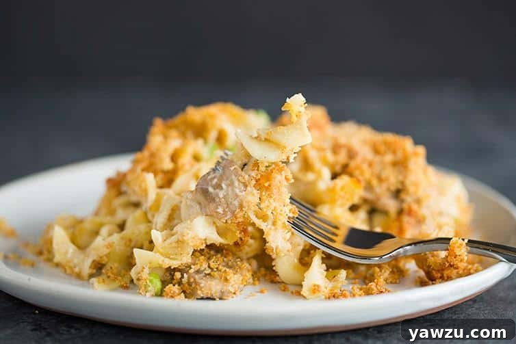 A plate of turkey tetrazzini with the fork picking up noodles and a mushroom.