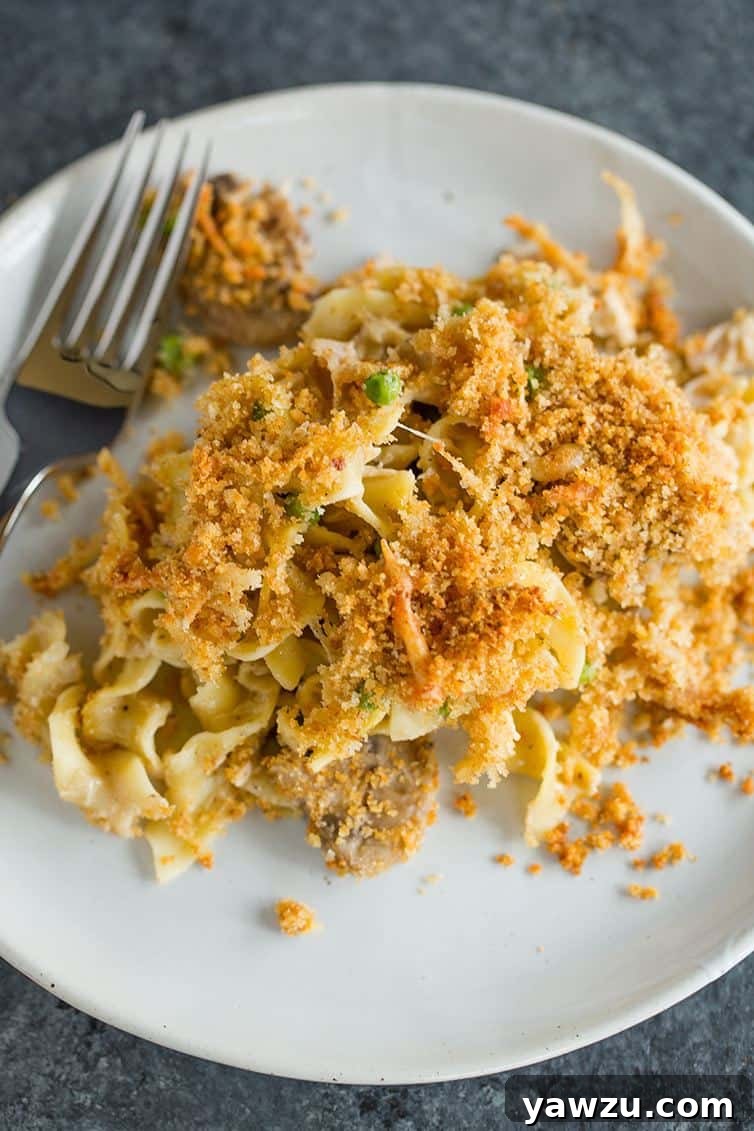 An overhead shot of a plate of turkey tetrazzini.