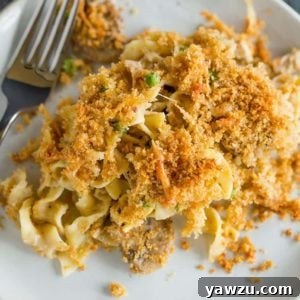 An overhead shot of a plate of turkey tetrazzini.