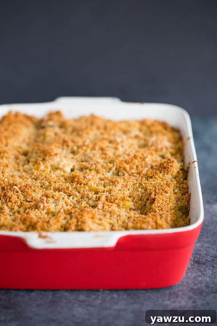 A pan of freshly baked turkey tetrazzini.