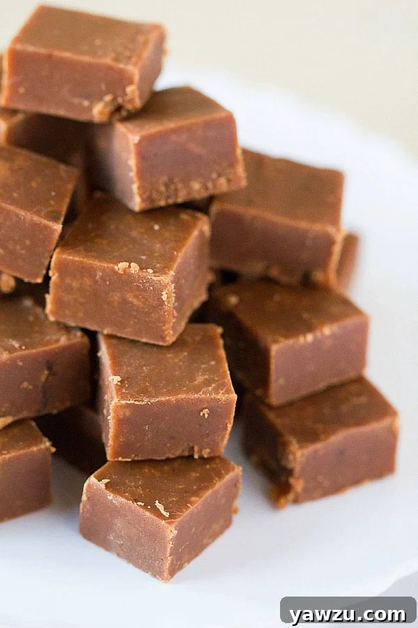 Rich and creamy chocolate peanut butter fudge squares on a serving plate.