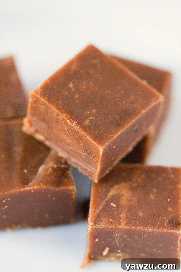 Three squares of Chocolate Peanut Butter Fudge on a white plate, ready to be enjoyed.