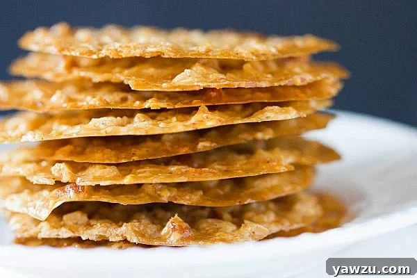 Close-up of baked almond lace cookies, showing their delicate, lacy texture
