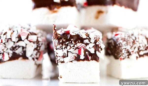 A trio of decorative homemade peppermint marshmallows, showcasing the dark chocolate dipped and candy cane-covered presentation.