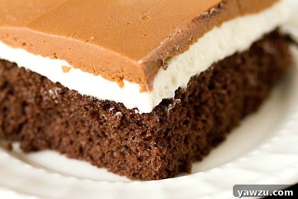 Slice of Ho Ho Cake showing distinct layers of chocolate cake, white filling, and chocolate topping