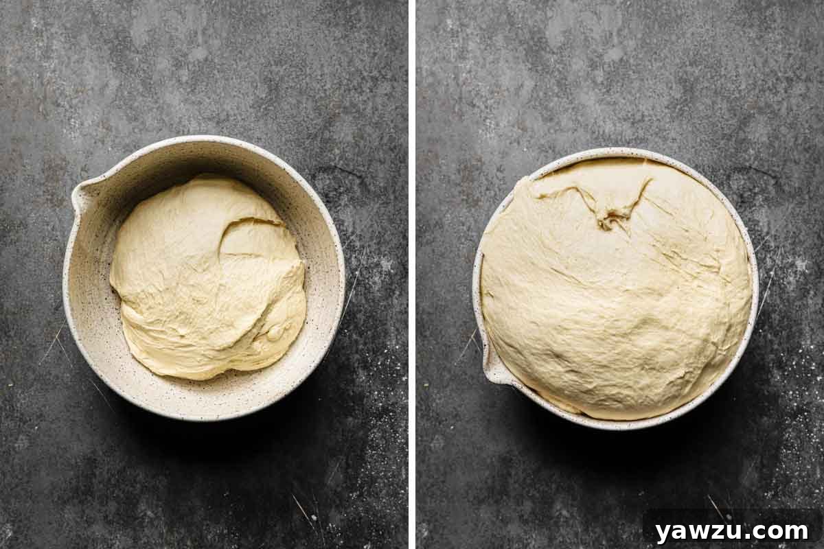 Soft pretzel dough in a white mixing bowl, shown before and after the rising process, demonstrating significant volume increase.