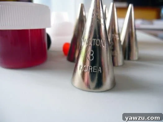 Wilton 3 piping tip.