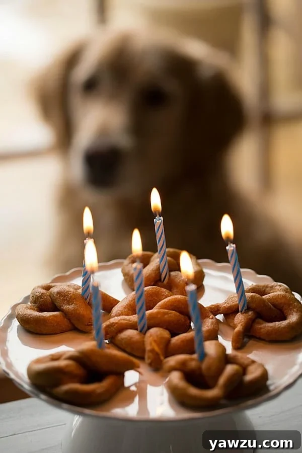 Sweet Potato Pretzel Dog Treats - A Perfect Homemade Treat for Your Canine Friend