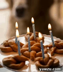 Sweet Potato Pretzel Dog Treats
