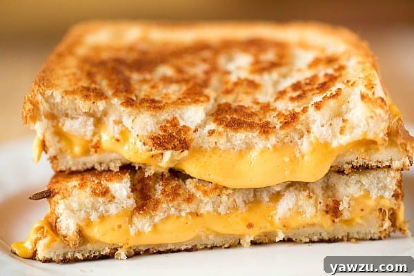 The Best American Cheese for Grilled Sandwiches and Burgers