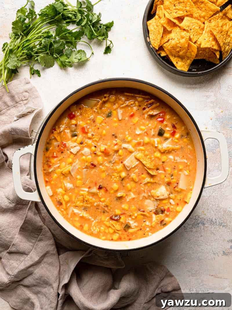 Overhead photo of a pot of chicken corn chowder with tortilla chips and cilantro in the background.