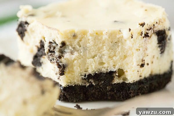 Close-up of a perfectly sliced Oreo Cheesecake Bar, revealing the thick cookie crust, creamy filling, and visible cookie chunks.