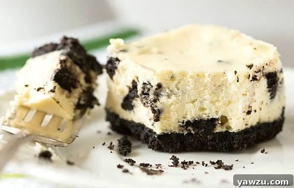 Several Oreo Cheesecake Bars arranged on a light-colored platter, ready to be enjoyed.
