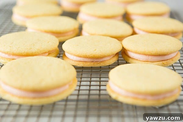 Close-up of a single Pink Grapefruit Sandwich Cookie, showing filling
