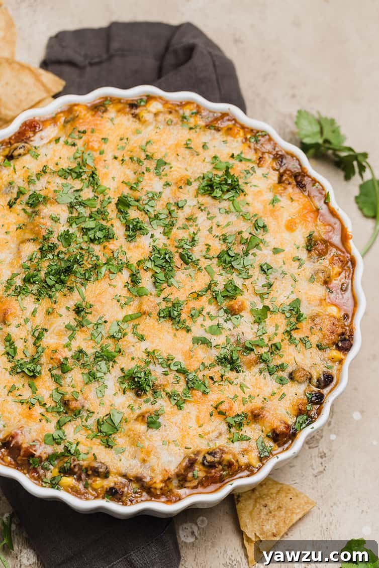 Black bean dip in a shallow white baking dish, ready to be served.