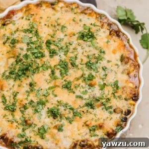 Warm Black Bean Dip in a dish with chips