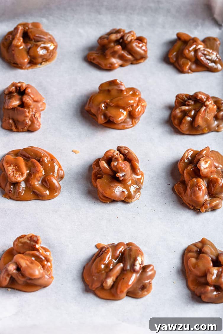 Perfectly set pecan pralines resting on parchment paper, showcasing their inviting texture and color.
