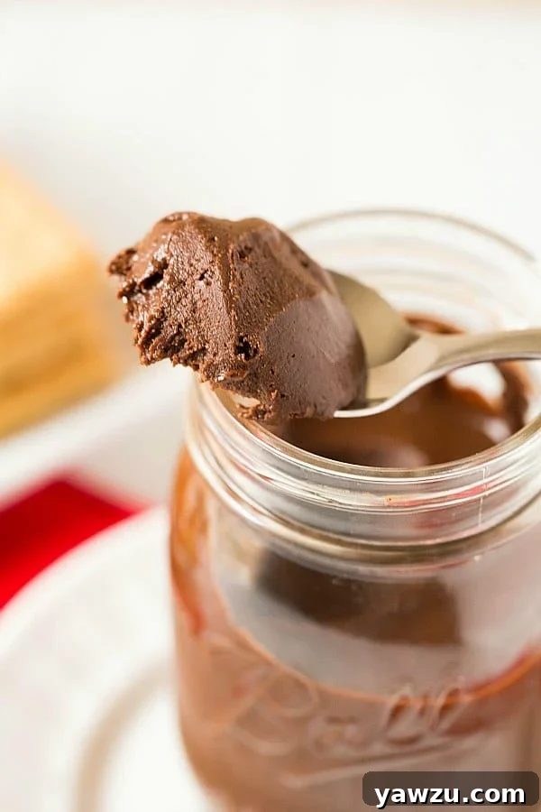 Freshly Made Chocolate Hazelnut Spread in a Bowl