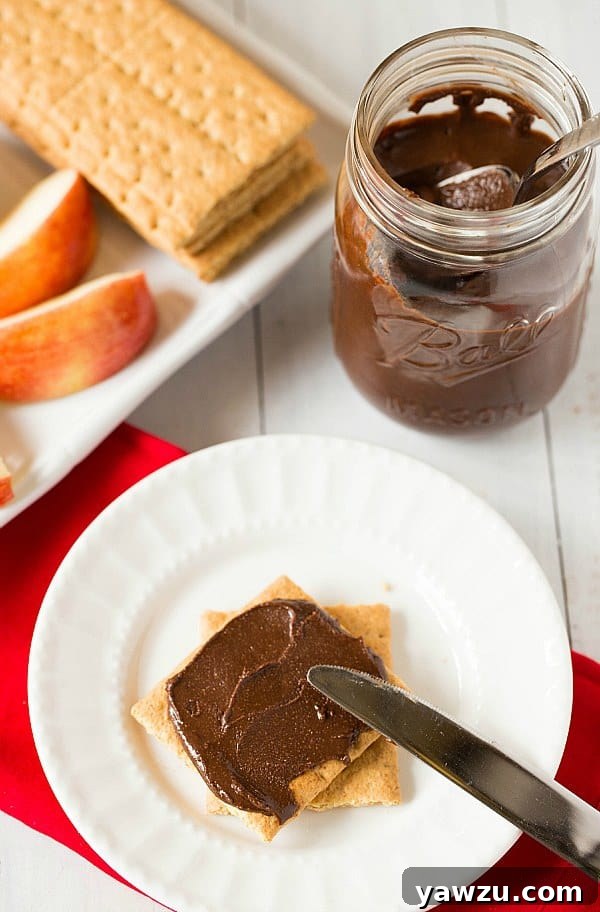 Homemade Chocolate Hazelnut Spread with Graham Crackers and Apples